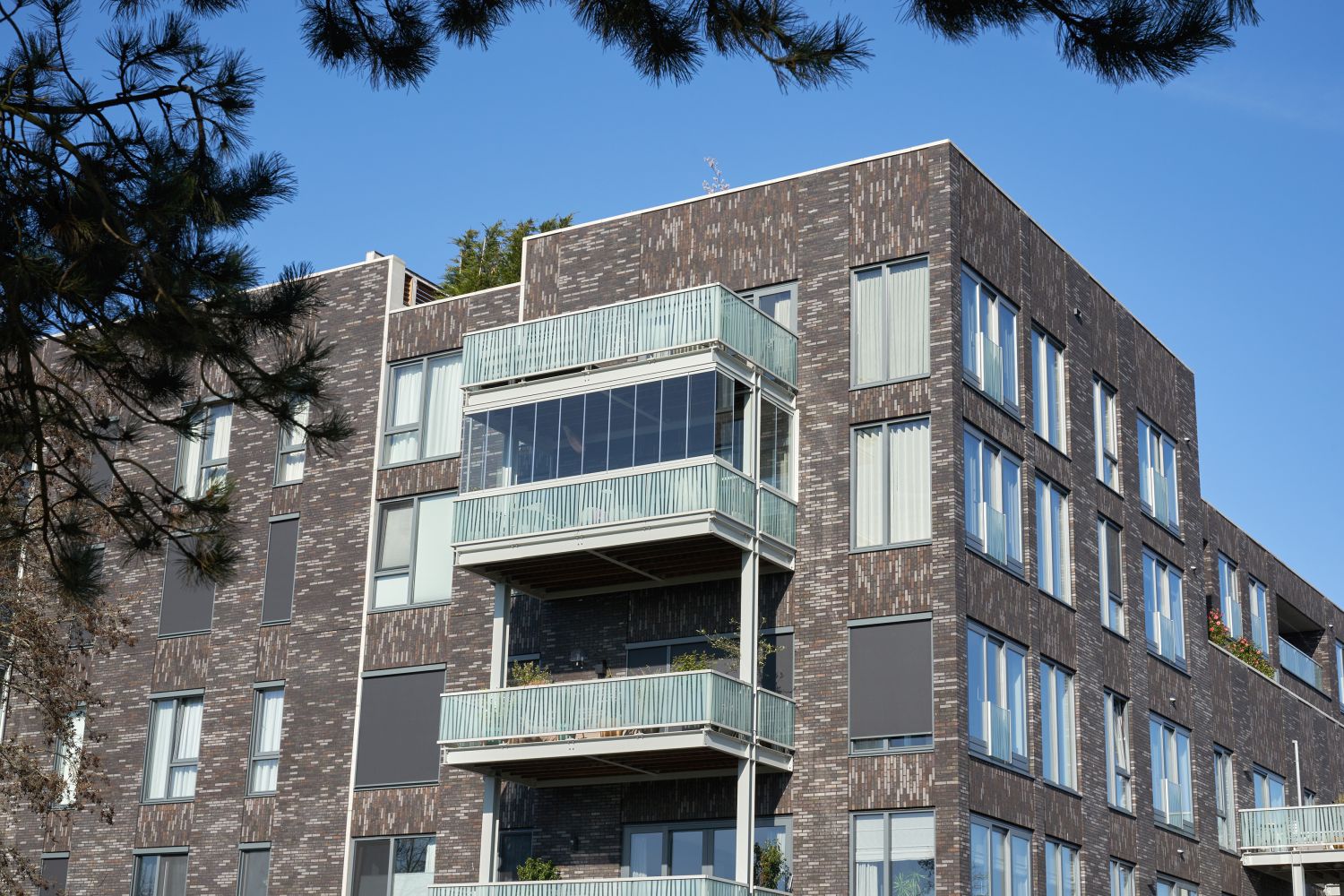 Alkmaar - Zuidzicht - 2025