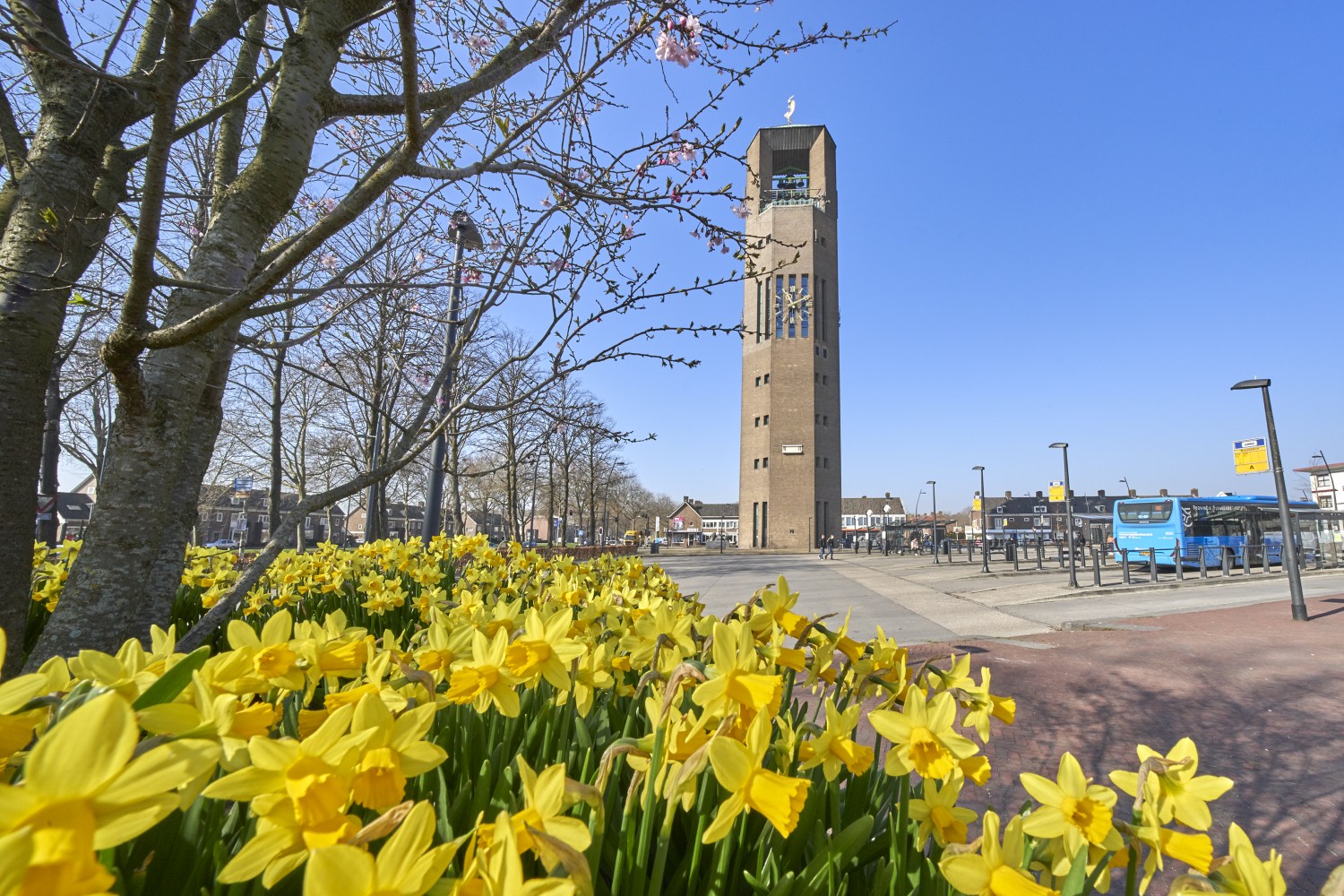Emmeloord - Mieke Smithage - huurwoningen