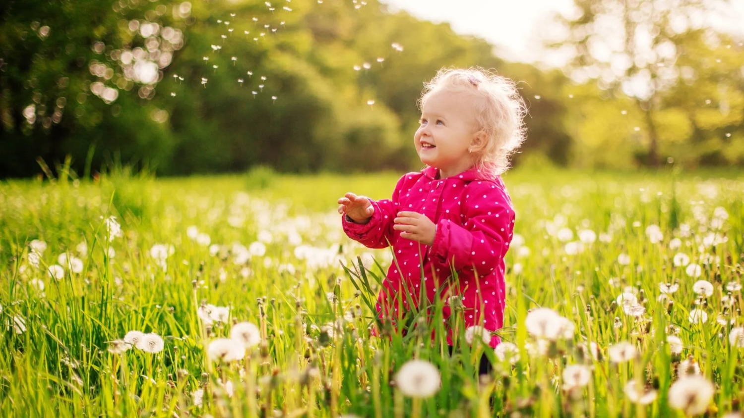 Nieuwbouw in Nibbixwoud - West